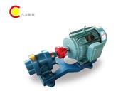 GWB外润滑油泵-GWB外润滑齿轮泵